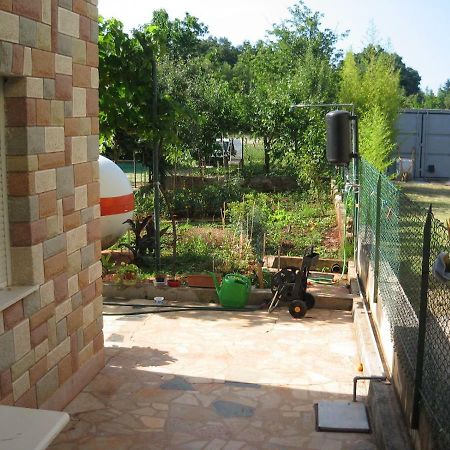 Novigrad Istria Apartments Sandra מראה חיצוני תמונה